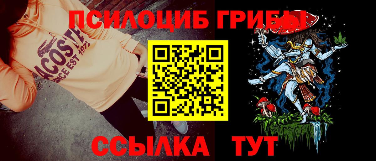 Галлюциногенные грибы мухоморы  Вход с VPN  Тулун  Псилоцибиновые грибы прущие грибы 